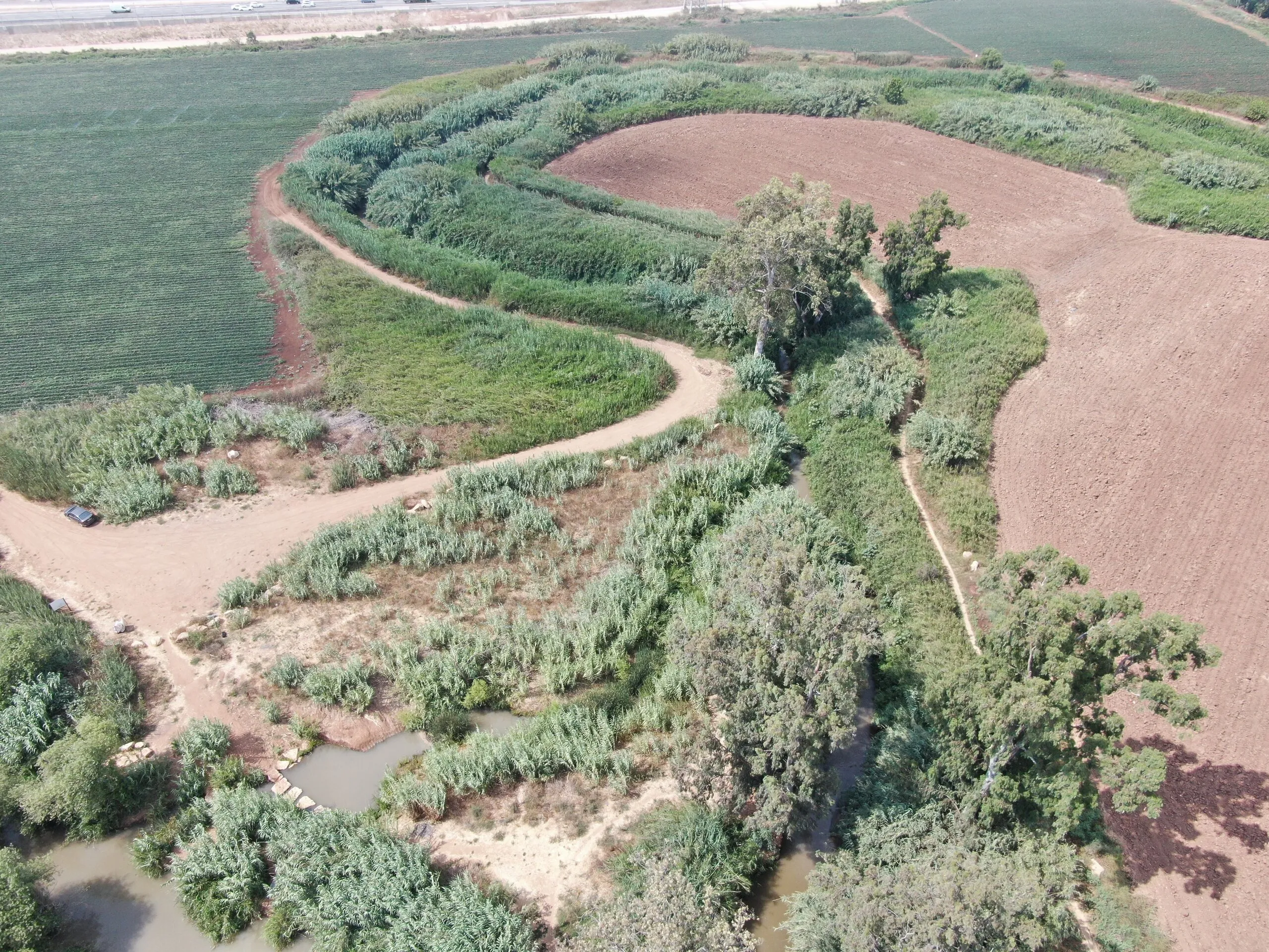 אבו ראבח וסביבתו, צילום מהשטח 3
